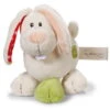 Nici 37884 Hase Tilli Stehend 15cm Schmusetier My First Nici Plüsch Kuscheltier -Nici Gmbh 37884 me