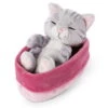 Nici 48086 Sleeping Kitties Schlafende Katze Im Körbchen 12cm Plüsch Grau