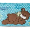 Nici 47615 Kissen Bär Kakaobraun & Frosch 43x25cm Plüsch Classic Bear GREEN -Nici Gmbh 47615 01 HA Frei 2048x1318