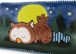 Nici 47879 Kissen Eule Oscar Schlafend Glow In The Dark 43x25cm Plüsch Owlsons -Nici Gmbh 47879 04 ZA Frei 2048x1451