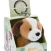 Nici 48136 Schlüsselanhänger Message Friends 6cm - Hund "Kleiner Glücksbringer" -Nici Gmbh 48136 01 HA Frei 1401x2048