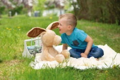 Nici 48596 Hase Ralf Rabbit Ca 50cm Plüsch Kuscheltier Schlenker Spring -Nici Gmbh 48596 11 Image 2048x1365