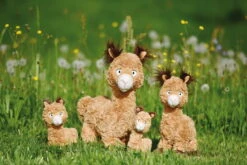 Nici 48606 Alpaka Al Paka 35cm Stehend Plüsch Kuscheltier GREEN 11 Nici 48606 Alpaka Al Paka 35cm Stehend Plüsch Kuscheltier GREEN -Nici Gmbh 48606 12 48604 48602 48608 Milieu 2048x1366