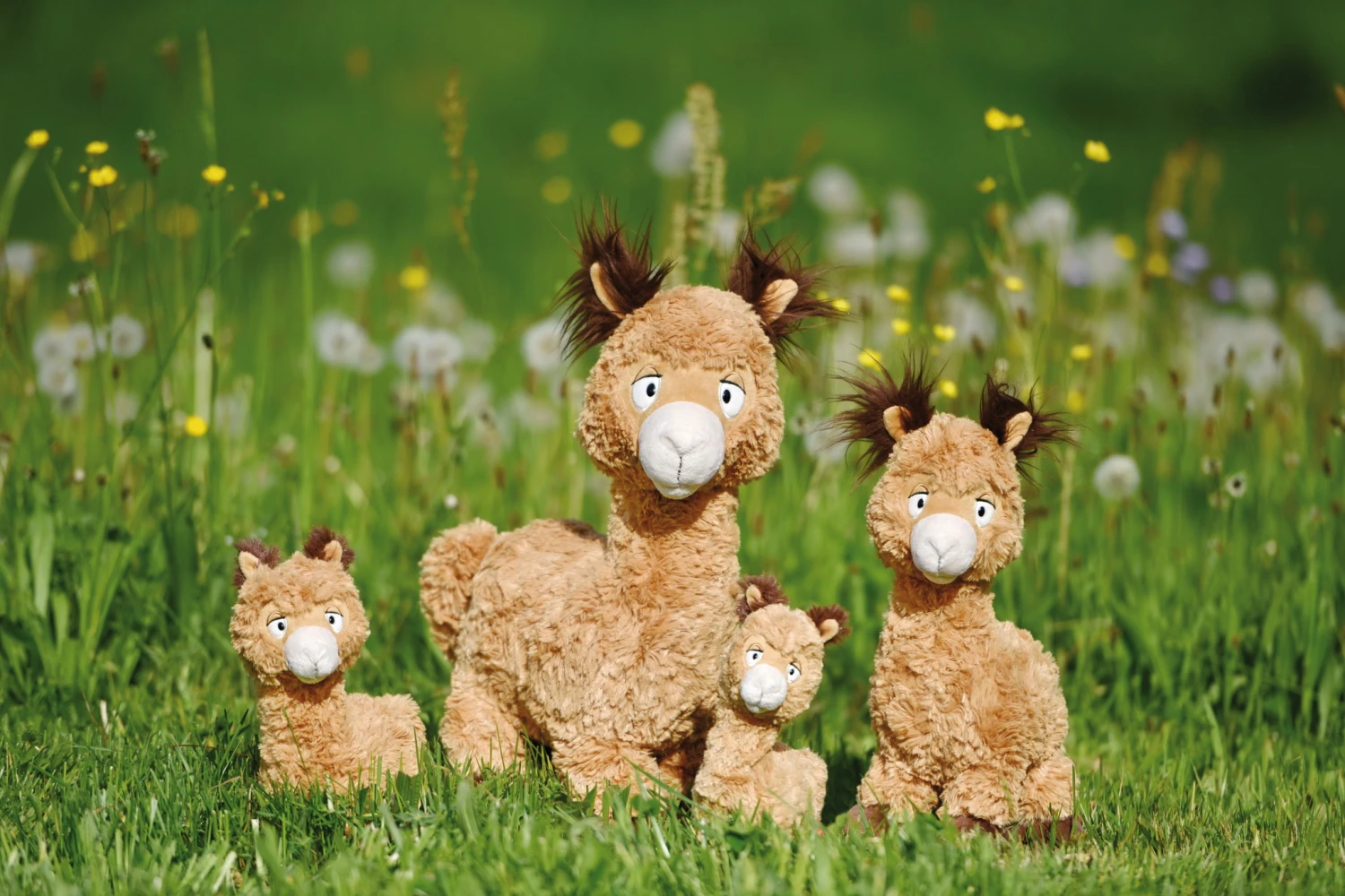 Nici 48606 Alpaka Al Paka 35cm Stehend Plüsch Kuscheltier GREEN 7 Nici 48606 Alpaka Al Paka 35cm Stehend Plüsch Kuscheltier GREEN – Bild 5