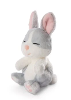 Nici 48706 Sleeping Pets Bunnies Hase Grau 12cm Schlafend Im Körbchen Grün -Nici Gmbh 48706 04 ZA Frei 1451x2048
