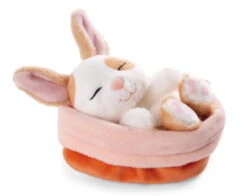 Nici 48707 Sleeping Pets Bunnies Hase Karamell Punkte 12cm Schlafend Im Körbchen -Nici Gmbh 48707 02 ZA Frei 2048x1626