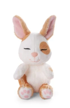 Nici 48707 Sleeping Pets Bunnies Hase Karamell Punkte 12cm Schlafend Im Körbchen -Nici Gmbh 48707 04 ZA Frei 1341x2048