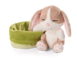 Nici 48709 Sleeping Pets Bunnies Hase Cappuccino 12cm Schlafend Im Körbchen Grün -Nici Gmbh 48709 03 ZA Frei 2048x1562