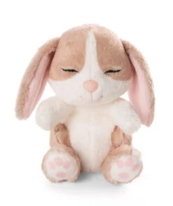 Nici 48709 Sleeping Pets Bunnies Hase Cappuccino 12cm Schlafend Im Körbchen Grün -Nici Gmbh 48709 04 ZA Frei 1726x2048