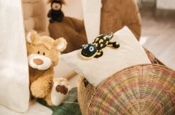 Nici 48780 Salamander Don Fuego Ca 25cm Plüsch Kuscheltier GREEN Classic Bear -Nici Gmbh 48775 14 48782 Milieu 2048x1342