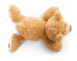 Nici 48777 Bär Mielo Ca 20cm Liegend Plüsch Kuscheltier GREEN Classic Bear 10 Nici 48777 Bär Mielo Ca 20cm Liegend Plüsch Kuscheltier GREEN Classic Bear -Nici Gmbh 48777 04 ZA Frei 2048x1625 2