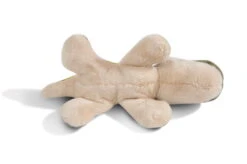 Nici 48802 MagNICI Dino Fossily 12cm Plüsch Dino Dinosaurier Magnetfigur GREEN -Nici Gmbh 48802 03 ZA weiss 2048x1360