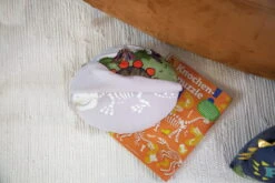 Nici 48820 Kissen Dinosaurier Fossily Wendeplüsch Glow In The Dark 32x26cm GREEN 14 Nici 48820 Kissen Dinosaurier Fossily Wendeplüsch Glow In The Dark 32x26cm GREEN -Nici Gmbh 48820 14 Milieu 2048x1365