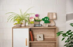 Nici 48943 Aloe Vera Pflanze Willibald 18cm Plüschfigur GREEN Funny Flowers -Nici Gmbh 48941 11 Milieu 48942 48943 48944 Milieu me