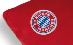 Nici 49080 Kissen FC BAYERN MÜNCHEN Bär Berni 43x25cm Plüsch FCB Dekokissen 9 Nici 49080 Kissen FC BAYERN MÜNCHEN Bär Berni 43x25cm Plüsch FCB Dekokissen -Nici Gmbh 49080 04 ZA weiss 792x492