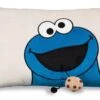Nici 48465 Kissen Krümelmonster Mit Keks Sesamstraße Rechteckig 43x25cm -Nici Gmbh 572fQ9cWEz4GPJQ